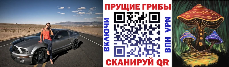 Псилоцибиновые грибы мицелий  Валдай 